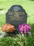 image of grave number 496957